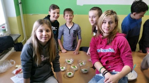 Program „Zdravá 5“ u nás na škole