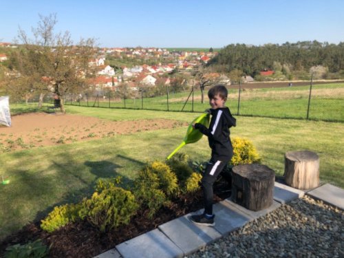 Damián a jeho aktivity