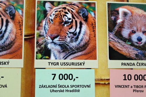 Ocenění nejlepších „sběračů“ a exkurze do ZOO Lešná